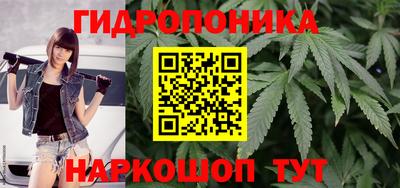 эйфоретик Заволжье