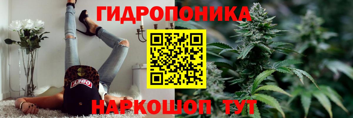 Каннабис план Надым